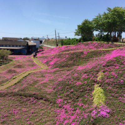 新富 新田～西都原古墳群