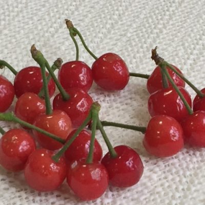 真っ赤な “さくらんぼ”