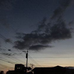 今週の1枚