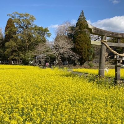 下舞野神社