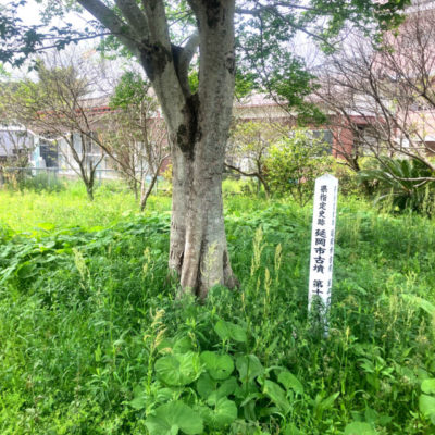 ぶらりのべおか