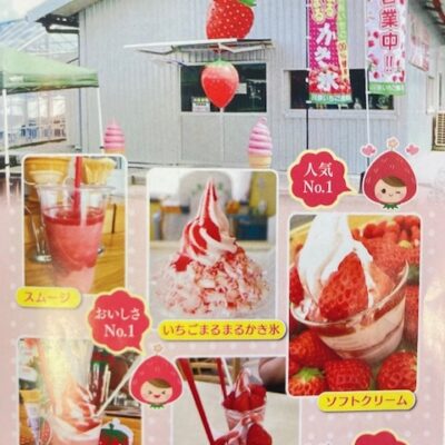 イチゴちゃん♪イチゴちゃん♪～川原いちご農園～