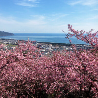 愛宕山頂上