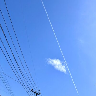 今週の1枚「コントレール」～ 木曜日のランチNAMBAN