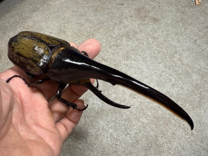 369599180FD6366FB64CA06DD36510