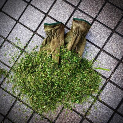 今週の1枚「green」～ 木曜日のランチNAMBAN