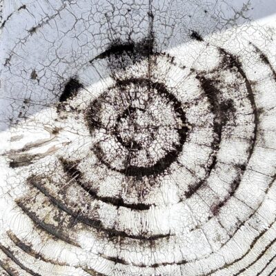 今週の1枚「circle」～ 木曜日のランチNAMBAN
