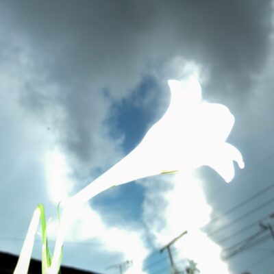 今週の1枚「YURI」～ 木曜日のランチNAMBAN