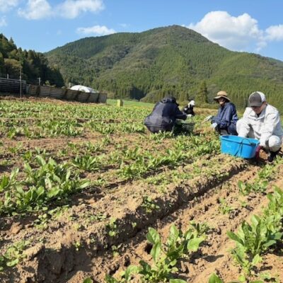 １４日オンエア♪ひなたビールでオーガニックライフ