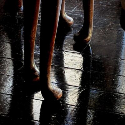 今週の1枚「 legs」～ 木曜日のランチNAMBAN