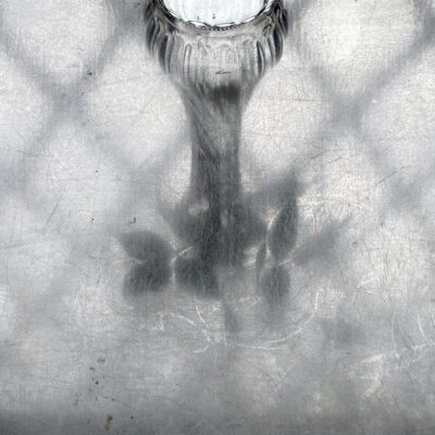 今週の1枚「 still life」～ 木曜日のランチNAMBAN