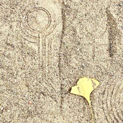 今週の1枚「痕跡 」～ 木曜日のランチNAMBAN