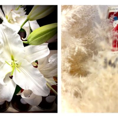 今週の1枚「Christmasがやって来る 」～ 木曜日のランチNAMBAN