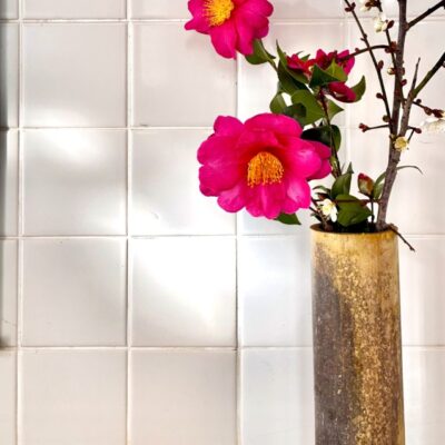 今週の1枚「トイレの花」～ 木曜日のランチNAMBAN