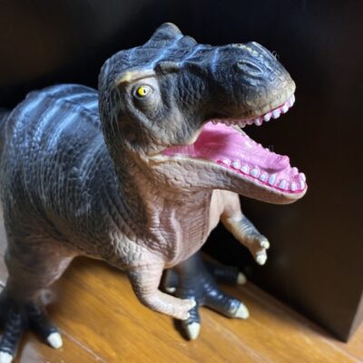 今週の1枚「ペット」～ 木曜日のランチNAMBAN