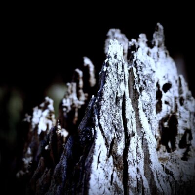 今週の1枚「岩峰」～ 木曜日のランチNAMBAN