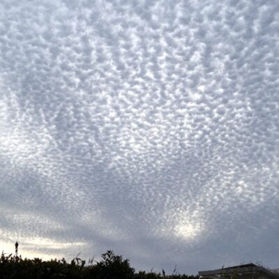 今週の1枚「3/15の雲」～ 木曜日のランチNAMBAN