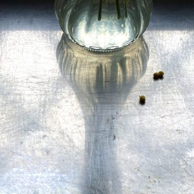 今週の1枚「静」～ 木曜日のランチNAMBAN