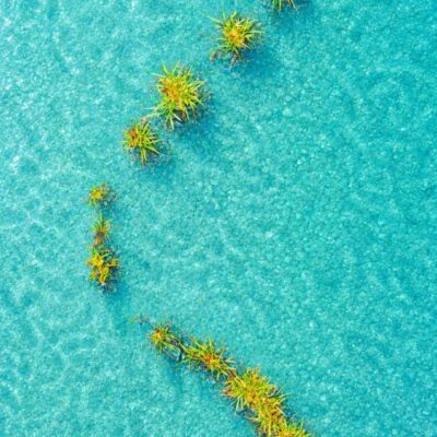 今週の1枚「南の島」～ 木曜日のランチNAMBAN
