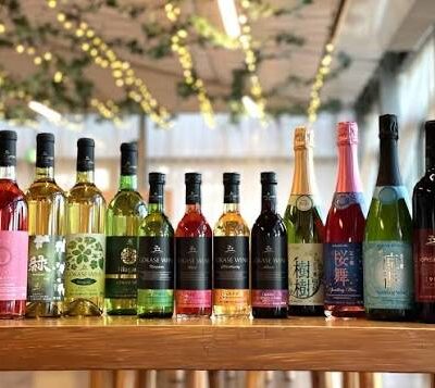 五ヶ瀬ワイン新酒発売🍇